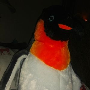 Big ole loveable 🐧 penguin!